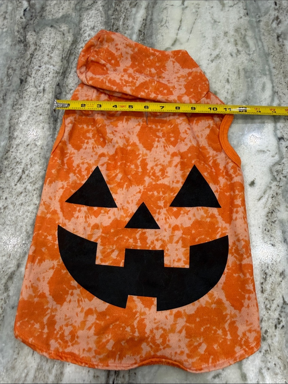 Dog Halloween fall pumpkin hoodie clothing